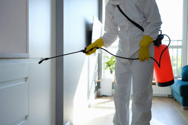 Best Mold Removal for HVAC Installations  in Six Mile Run, NJ